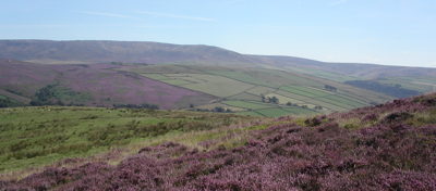 Kinder Scout Plateau – Netwalks skillslocal Kinder Scout Plateau - Netwalks skillslocal